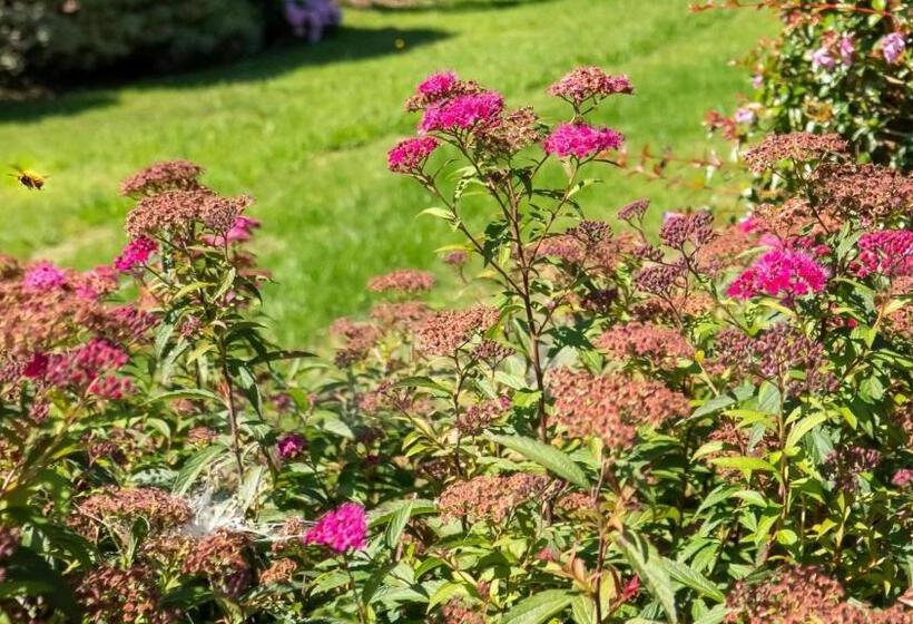 بنسيون Villa Enara