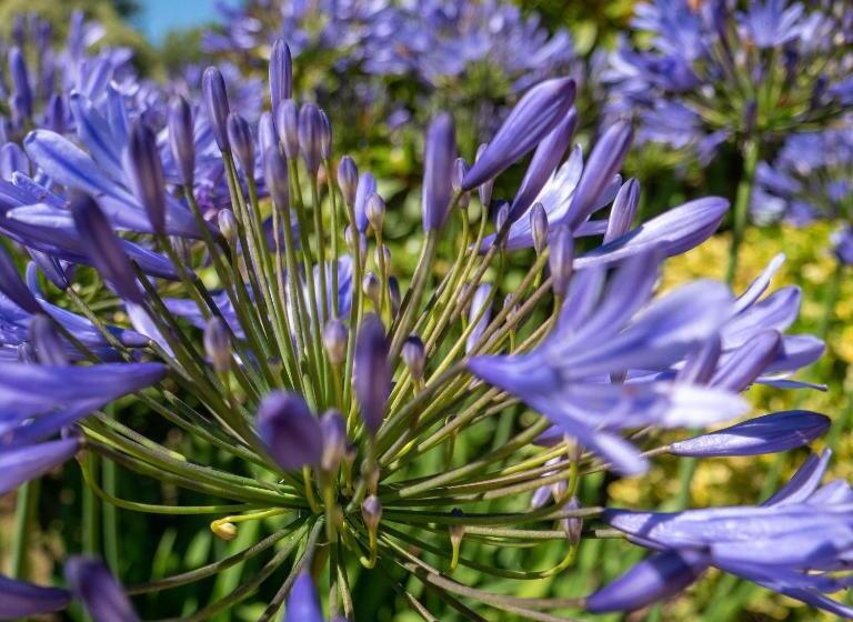 بنسيون Villa Enara