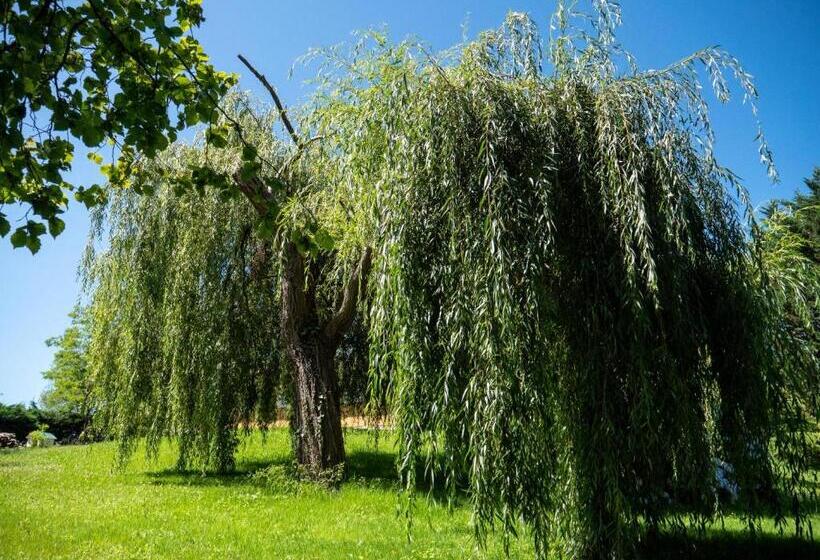 بنسيون Villa Enara