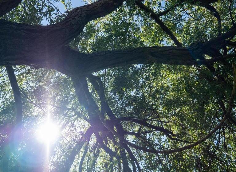 بنسيون Villa Enara