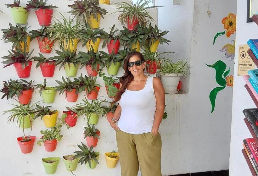 Raahi Backpacker S Hostel