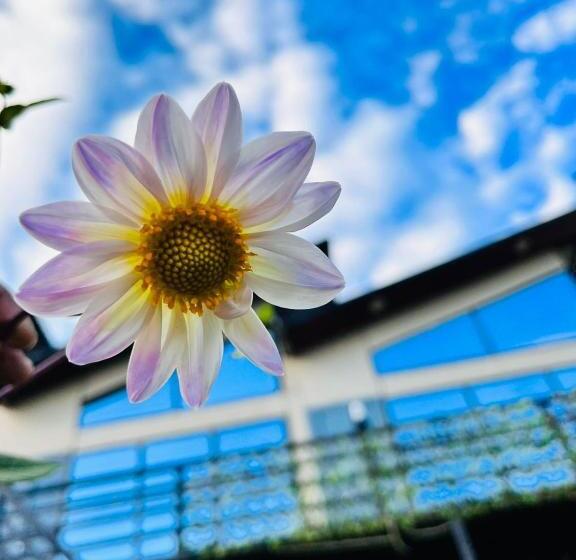 리조트 Into The Wild Stays