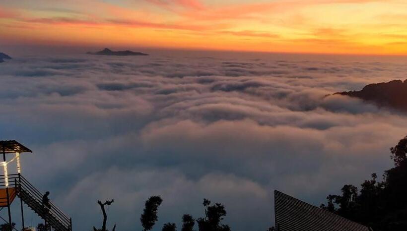 리조트 Into The Wild Stays