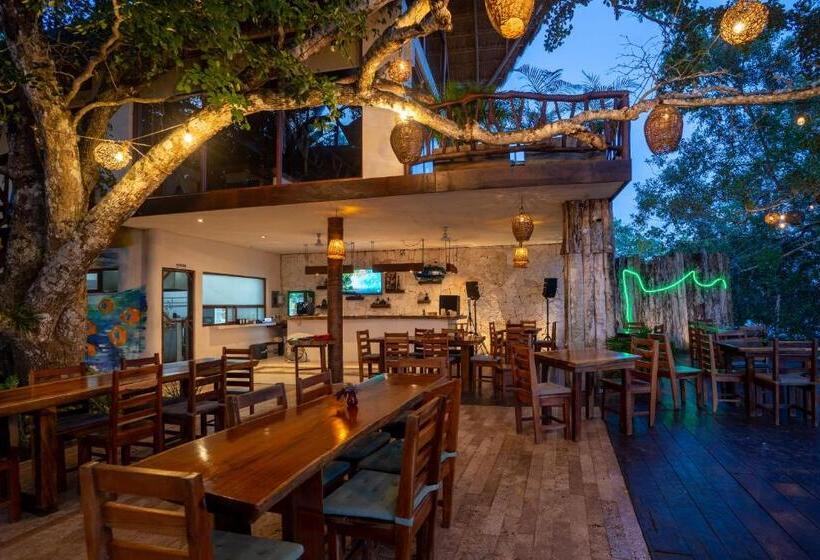 Xoot Kaana Villa Vista Laguna