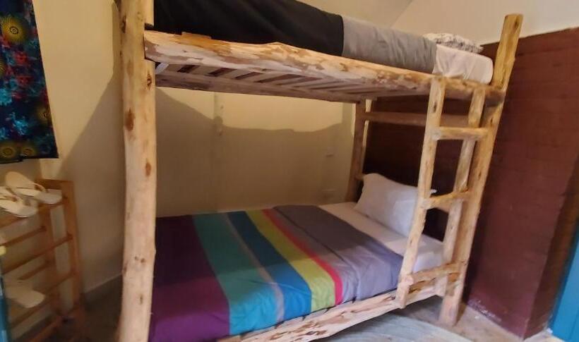 هاستل Kizumba House