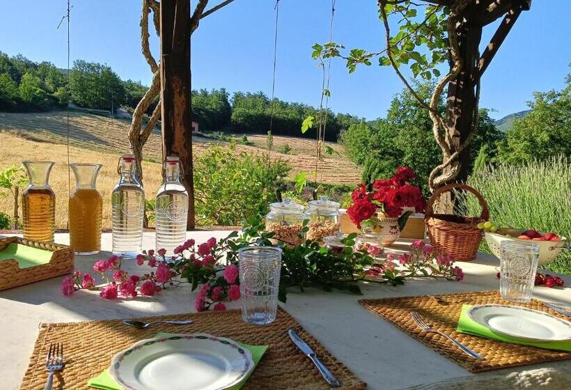 مبيت وإفطار Ca Novae   Tuscany Farmhouse
