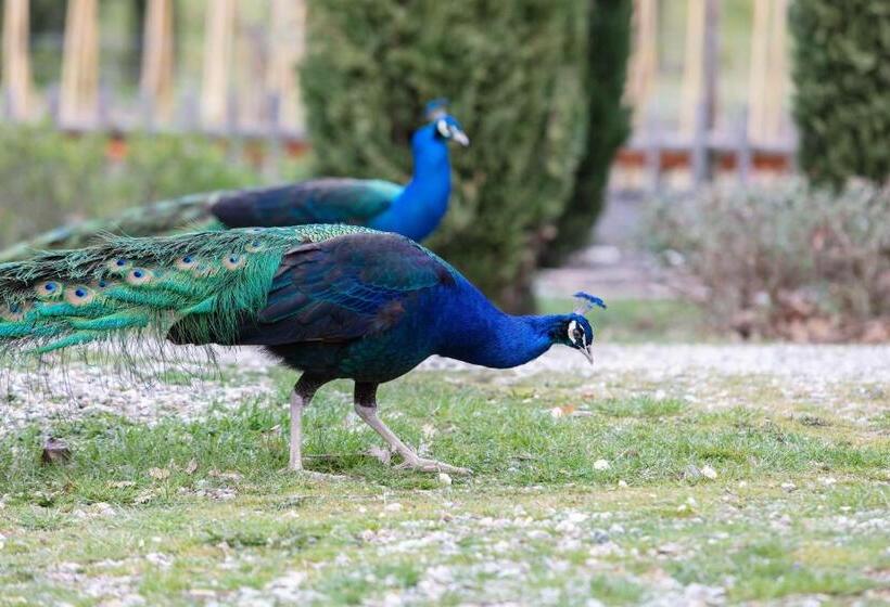 مبيت وإفطار Ca Novae   Tuscany Farmhouse