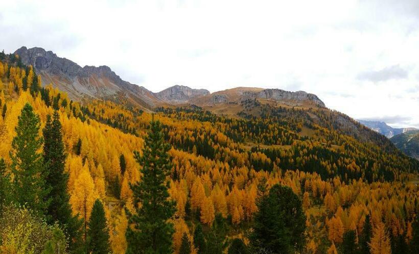 住宿加早餐  Chalet La Ciaseta