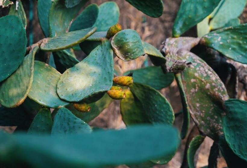 تختخواب و صبحانه Emesh Boutique Suite