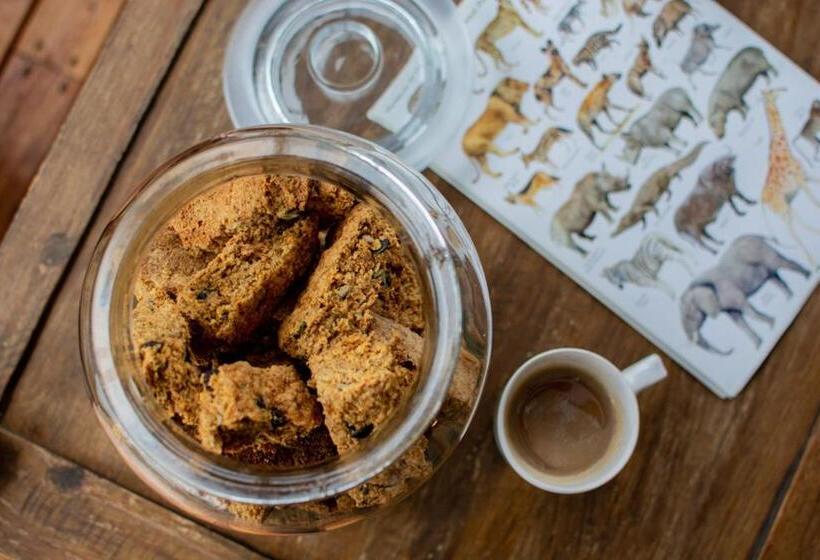 مبيت وإفطار Vida Nova Kruger