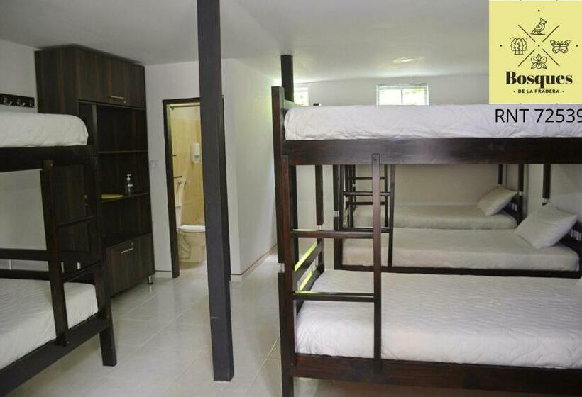 Отель Bosques De La Pradera