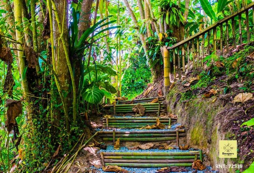 Отель Bosques De La Pradera