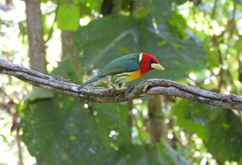 Отель Bosques De La Pradera