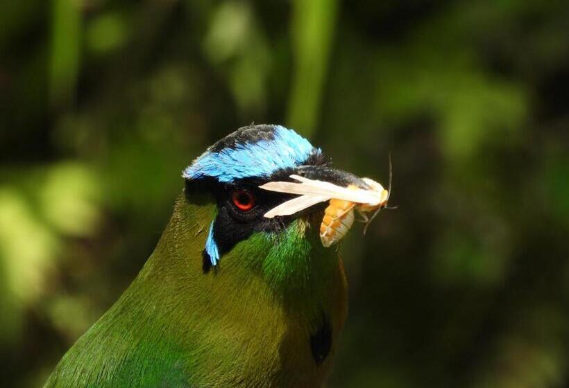 Отель Bosques De La Pradera