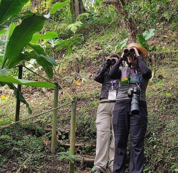 Отель Bosques De La Pradera