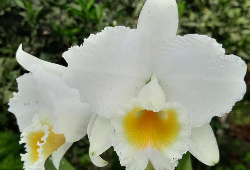 Отель Bosques De La Pradera