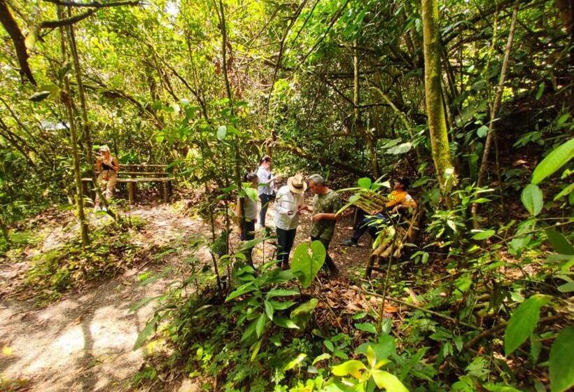 Отель Bosques De La Pradera