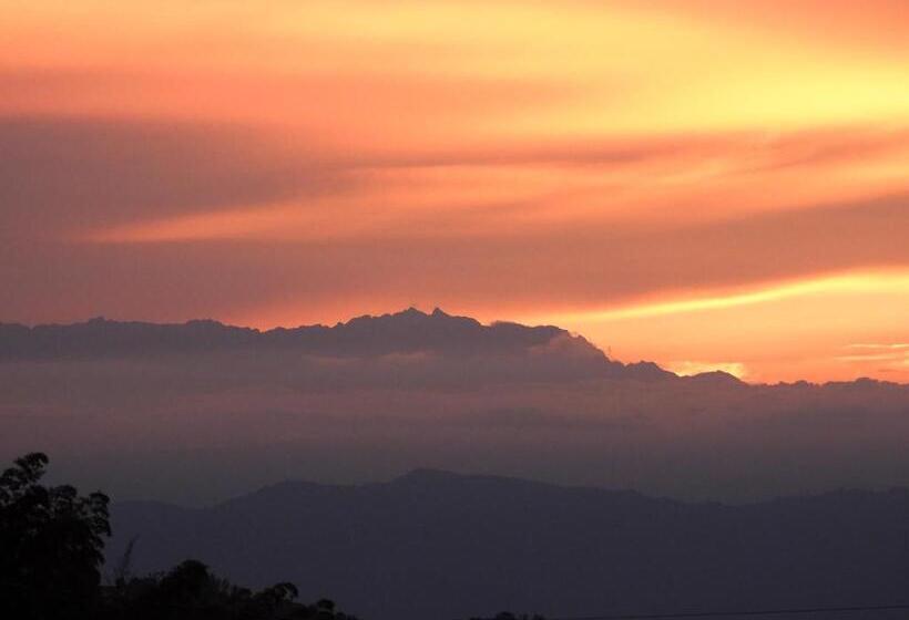 Отель Bosques De La Pradera