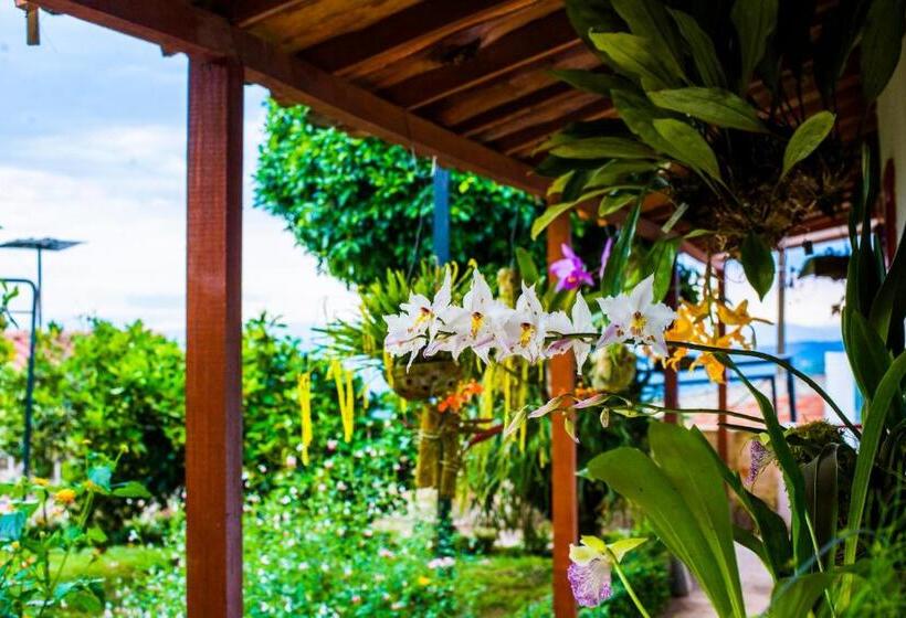 Отель Bosques De La Pradera