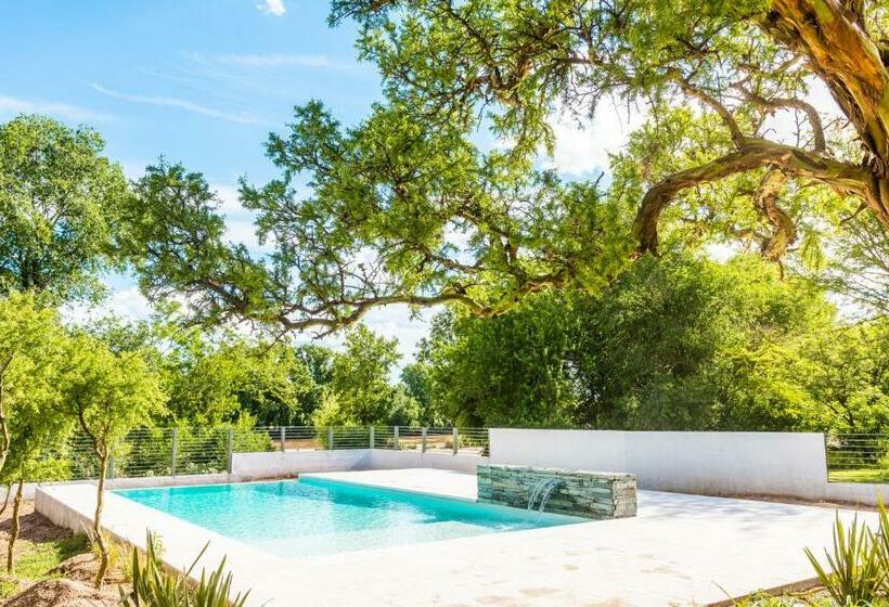 Отель Favre Suites