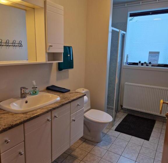 בית מלון כפרי Gauksmýri Guesthouse Lodge