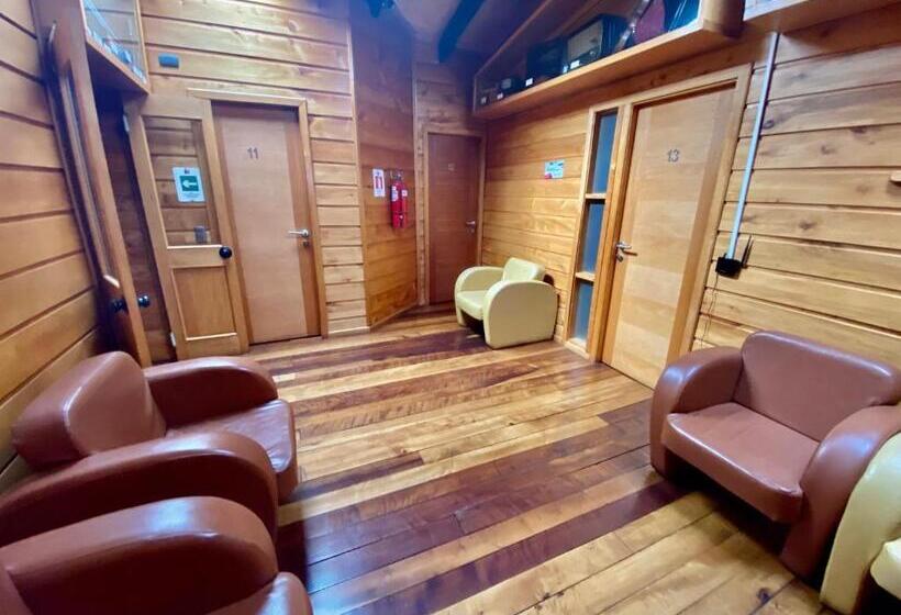 فندق Hostal Caulle