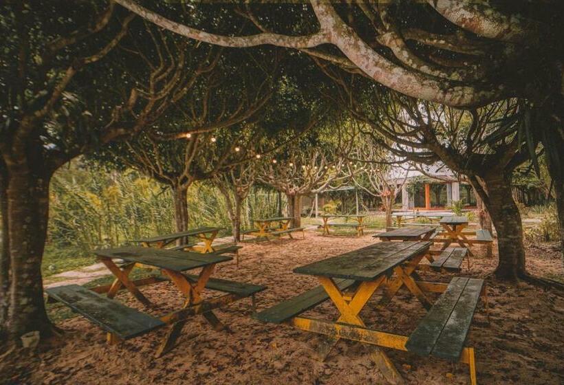 هتل Kantu Garden Lodge