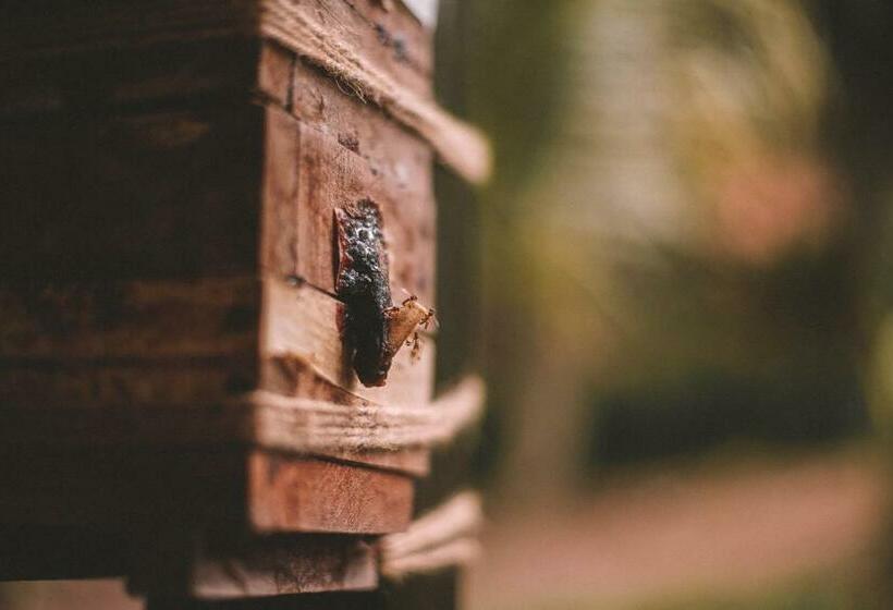 هتل Kantu Garden Lodge