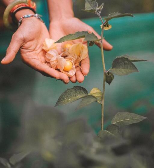هتل Kantu Garden Lodge