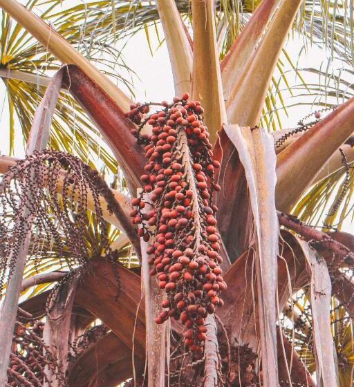 هتل Kantu Garden Lodge