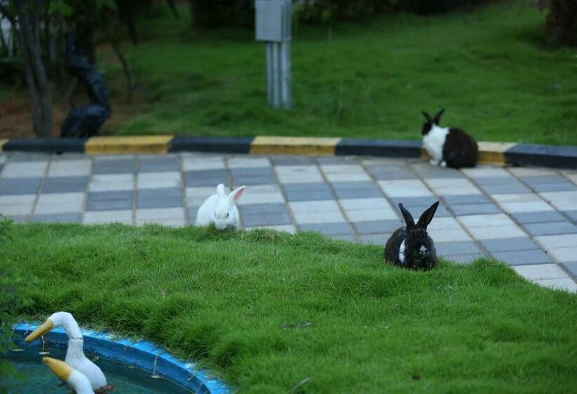 בית מלון כפרי S K International Innn