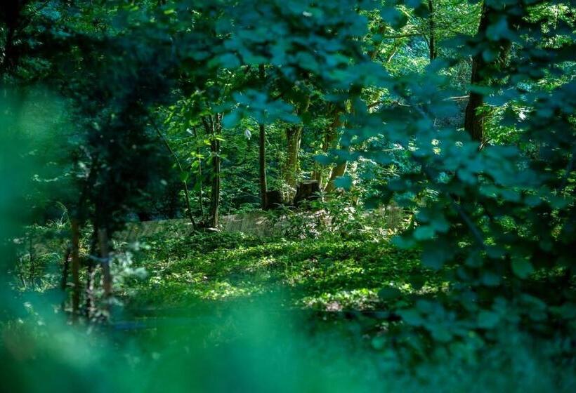 בית מלון כפרי The Canyon Kartepe And Restoran