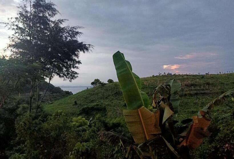 Pensjonat Feby S Homestay