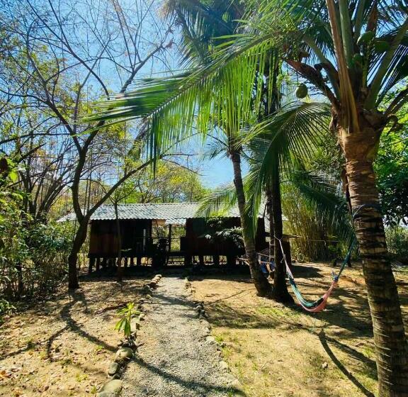 بنسيون Luminosa Uvita Hostel