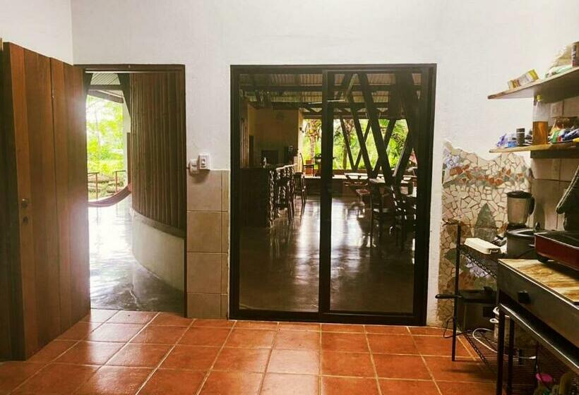 بنسيون Luminosa Uvita Hostel