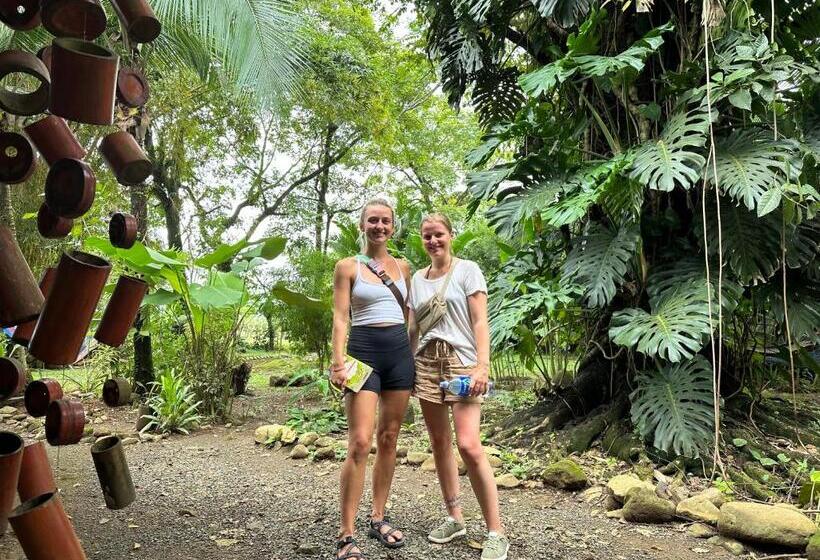 بنسيون Luminosa Uvita Hostel