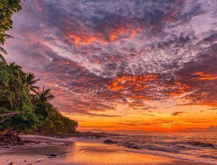 بنسيون Luminosa Uvita Hostel