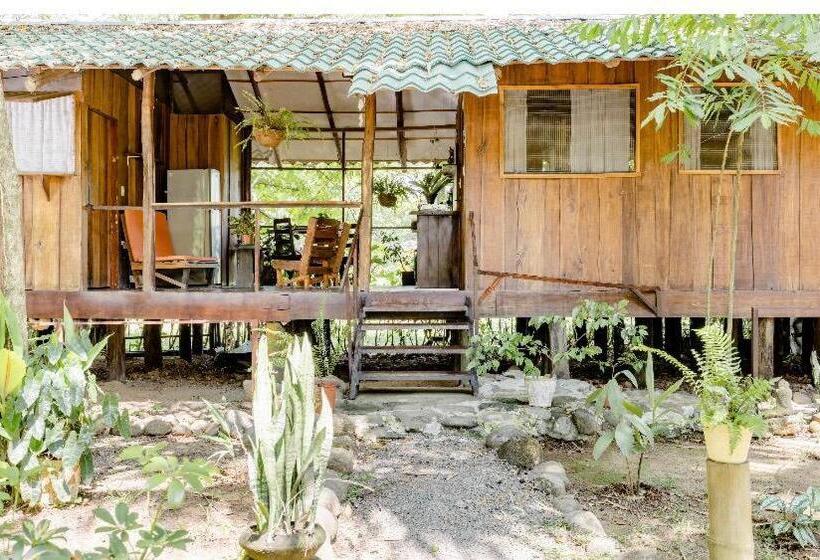 بنسيون Luminosa Uvita Hostel