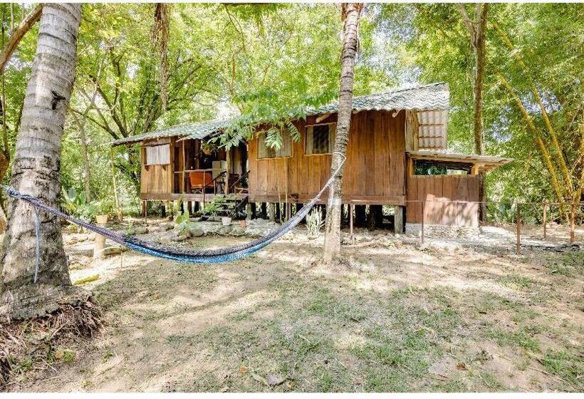 بنسيون Luminosa Uvita Hostel