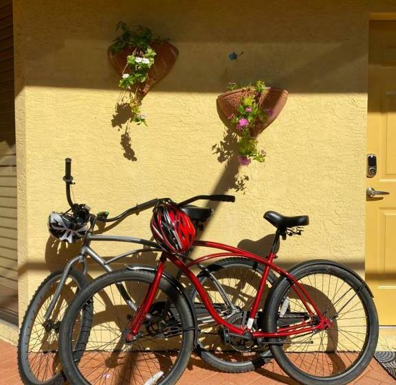 ペンション Paradise Found   Private Oasis With Heated Pool On Marco Island