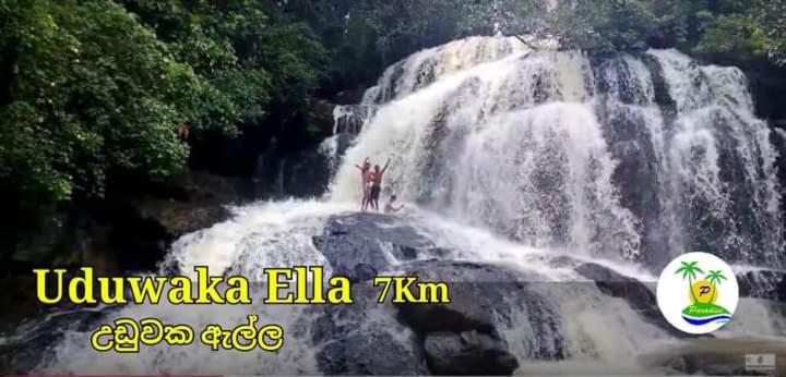 بنسيون Paradise Villa