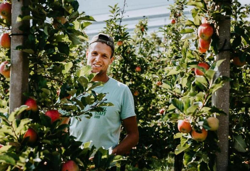 פנסיון Peintnerhof Appartments & Zimmer