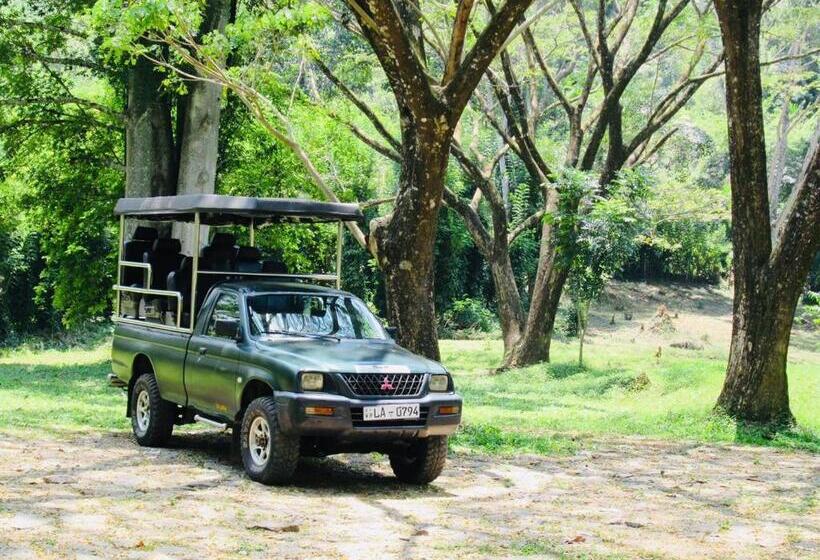 Pension Udawalawa Eco Lodge