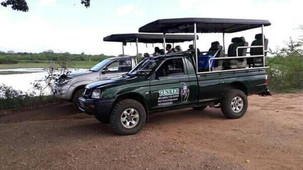 Pension Udawalawa Eco Lodge