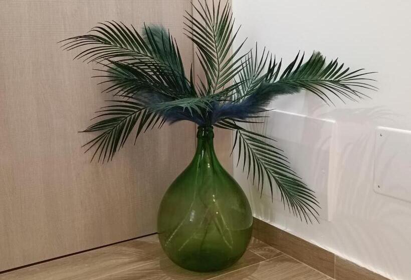 膳宿费 Villa Franca