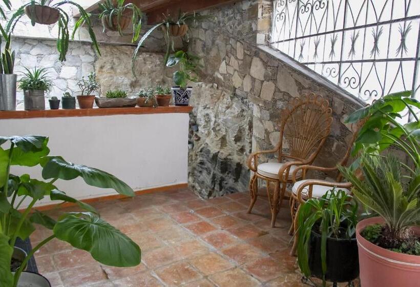 פנסיון Villa Mosaico   Luxury Lofts