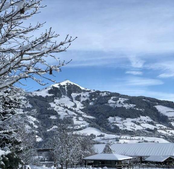 Pension Heidelberg   Fam Fuchs