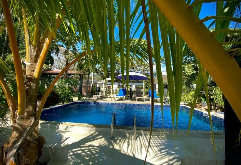 Rooms & Pool Macaws