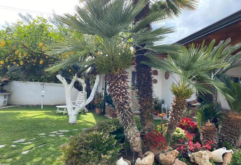 Villa Cecilia Bed And Breakfast