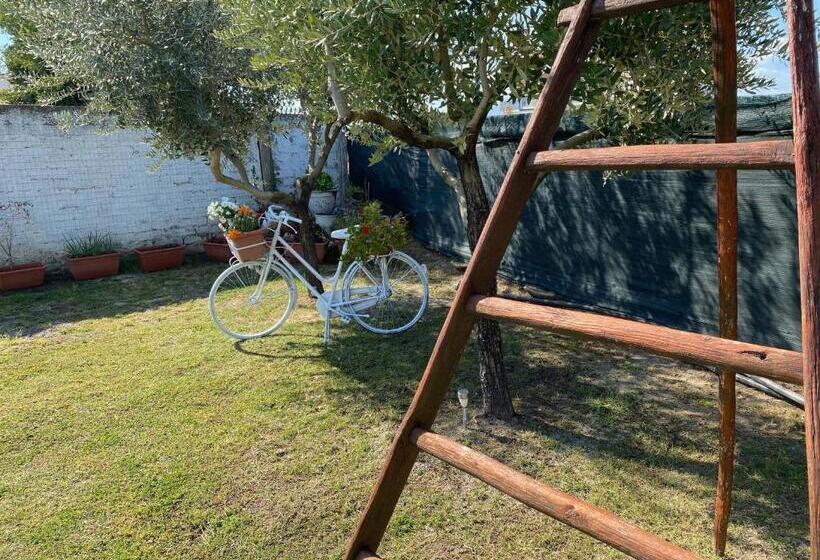 Villa Cecilia Bed And Breakfast